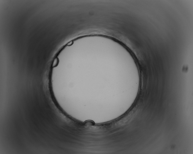 X0000102851500200809081231