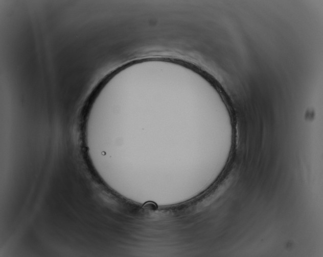 X0000102851501200809081231