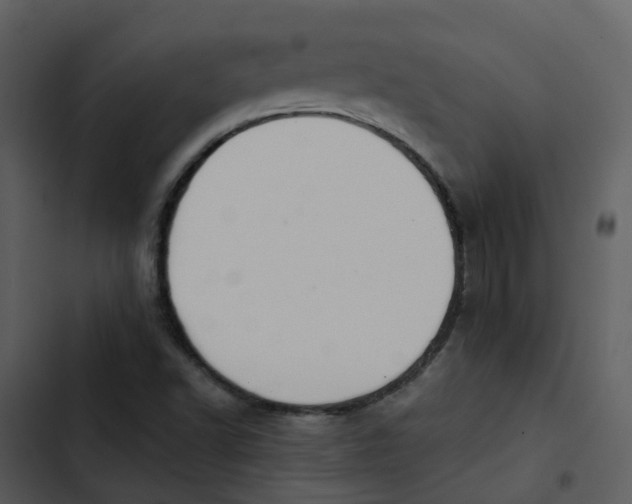 X0000102851502200809081231