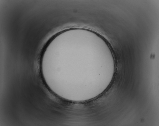 X0000102851503200809081231