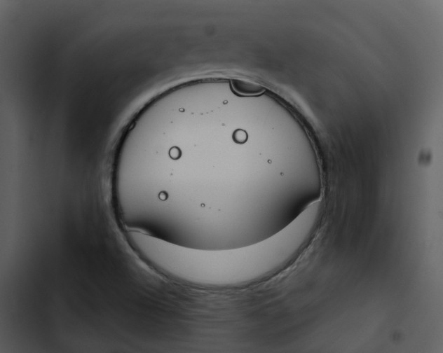 X0000102851504200809081231