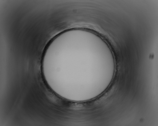 X0000102851505200809081231