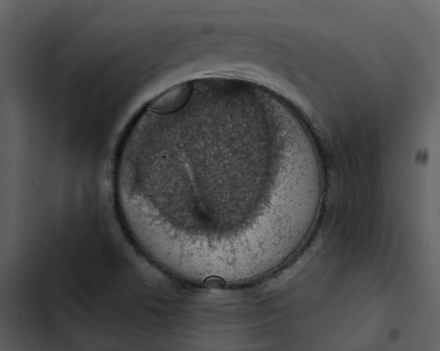 X0000102851506200809081231