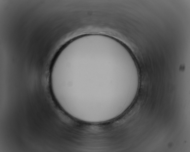 X0000102851507200809081231