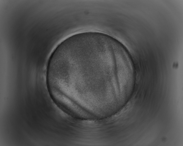 X0000102851508200809081231