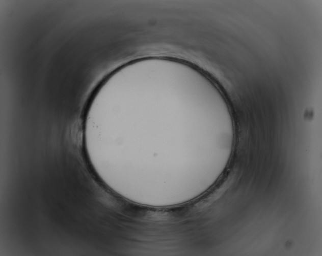 X0000102851509200809081231