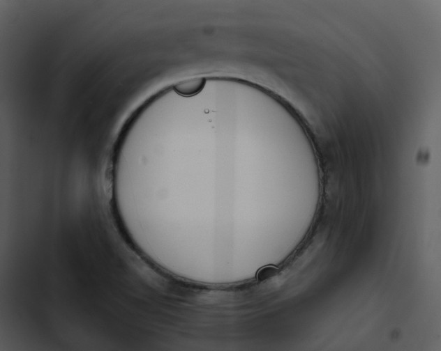 X0000102851510200809081231