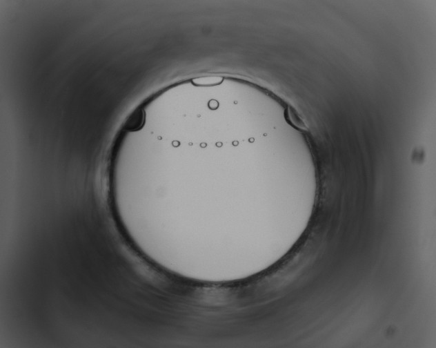 X0000102851511200809081231