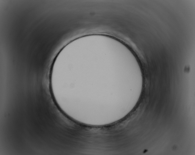 X0000102851512200809081231