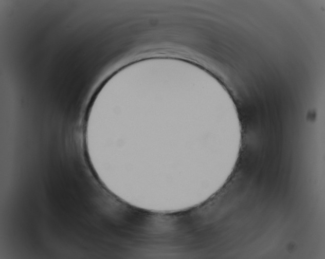 X0000102851514200809081231