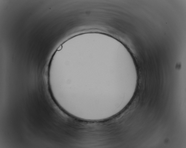 X0000102851516200809081231