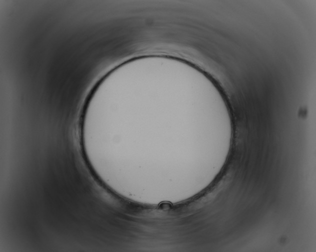 X0000102851517200809081231