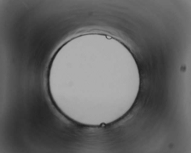 X0000102851518200809081231