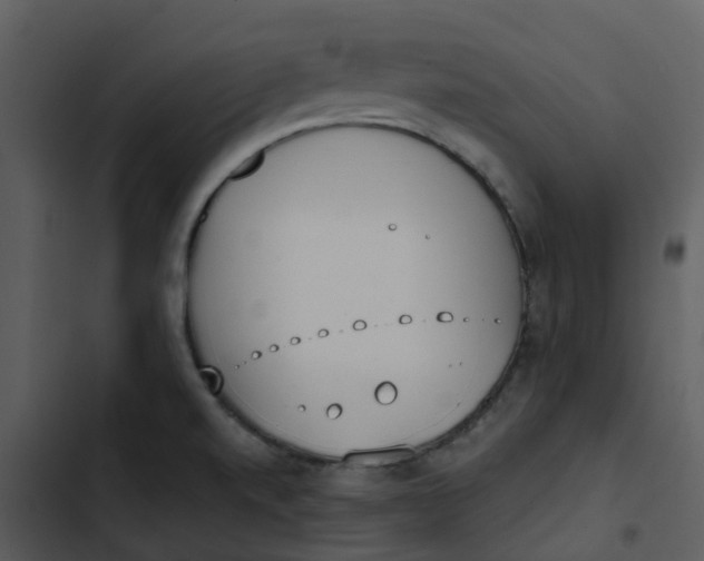 X0000102851520200809081231