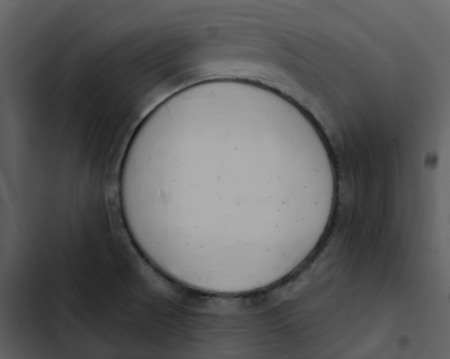 X0000102851521200809081231