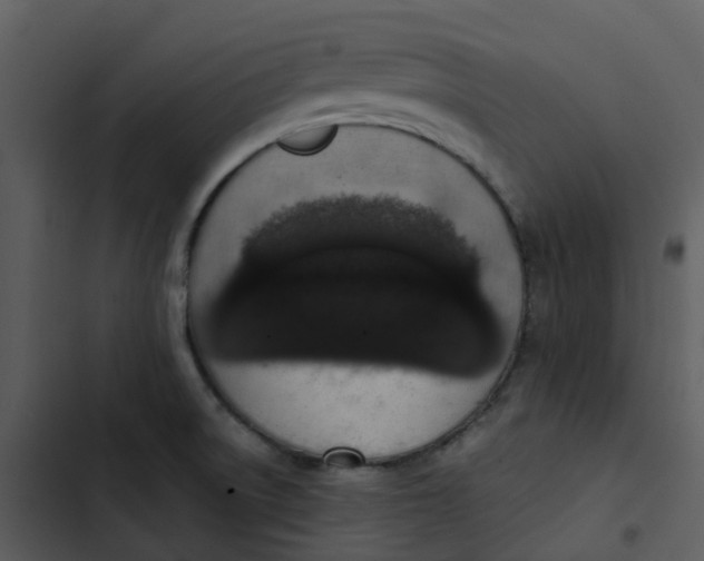 X0000102851522200809081231