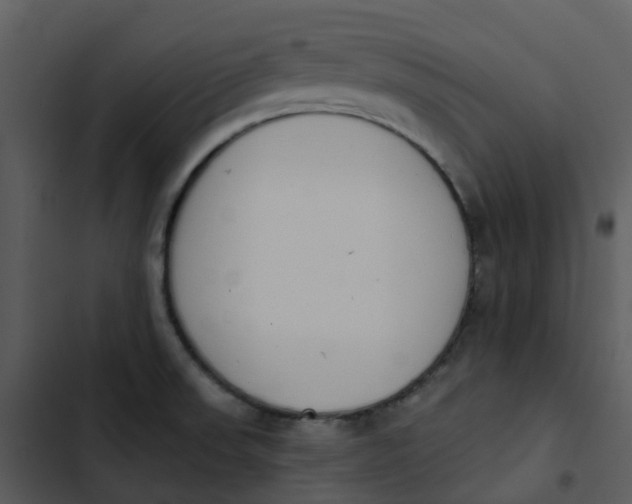 X0000102851523200809081231