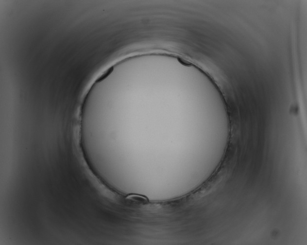 X0000102851524200809081231