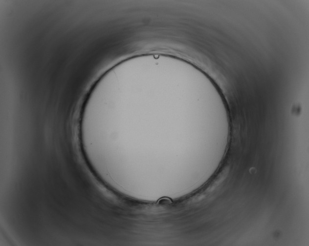 X0000102851525200809081231