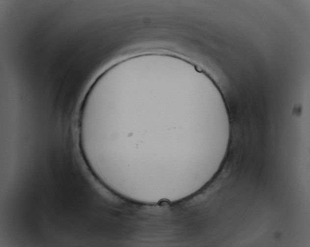 X0000102851526200809081231