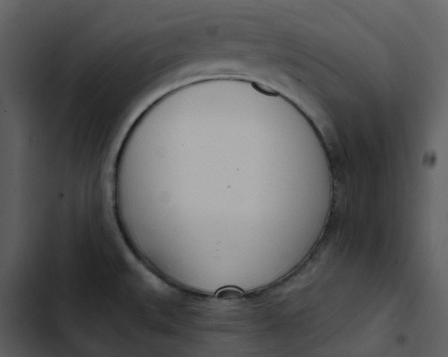 X0000102851527200809081231