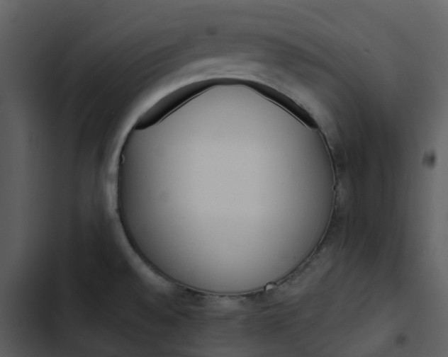 X0000102851528200809081231