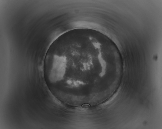 X0000102851529200809081231