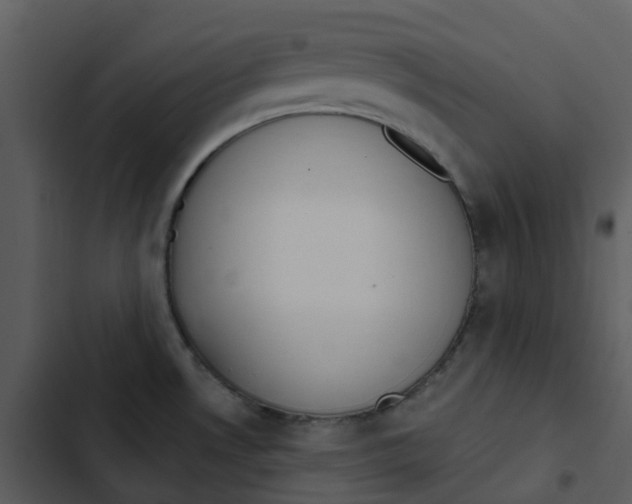 X0000102851530200809081231