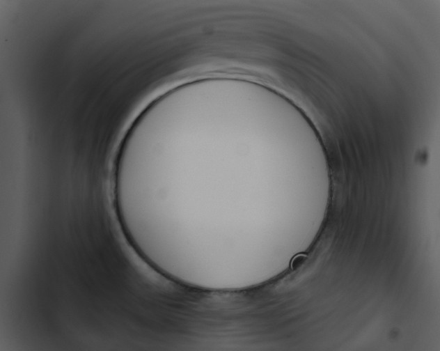 X0000102851531200809081231