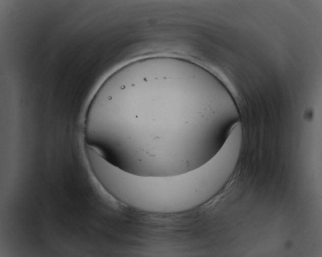 X0000102851532200809081231