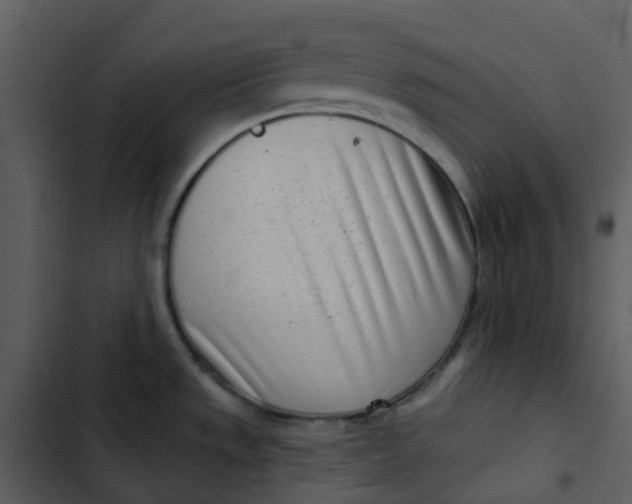 X0000102851533200809081231