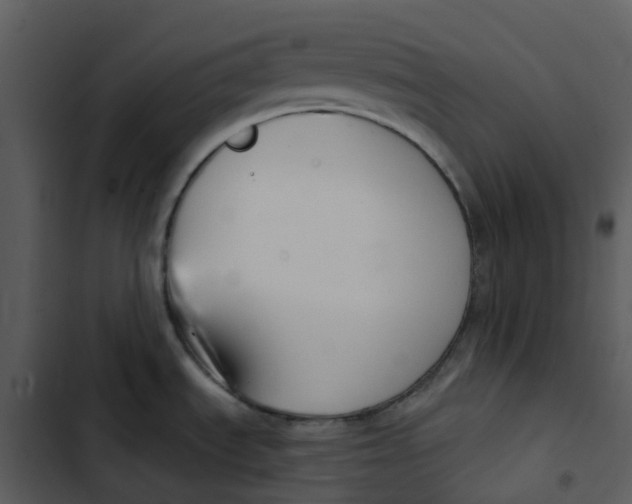 X0000102851535200809081231