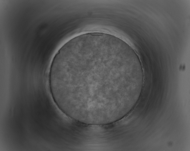 X0000102851536200809081231