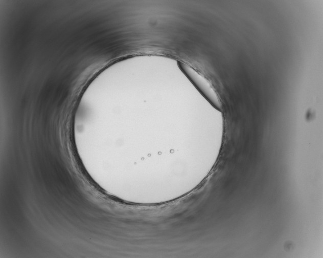 X0000102850001200809151138