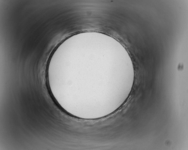 X0000102850002200809151138