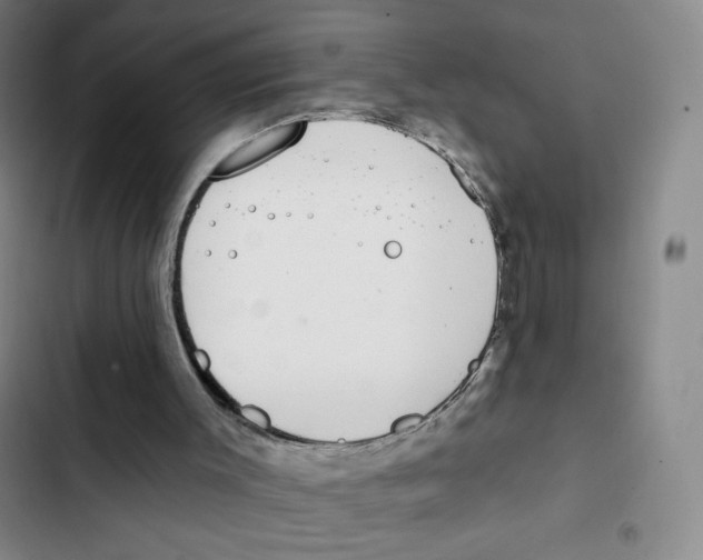 X0000102850003200809151138