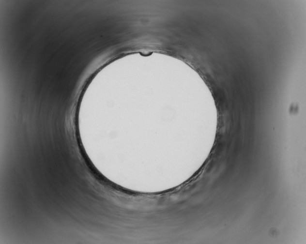 X0000102850004200809151138