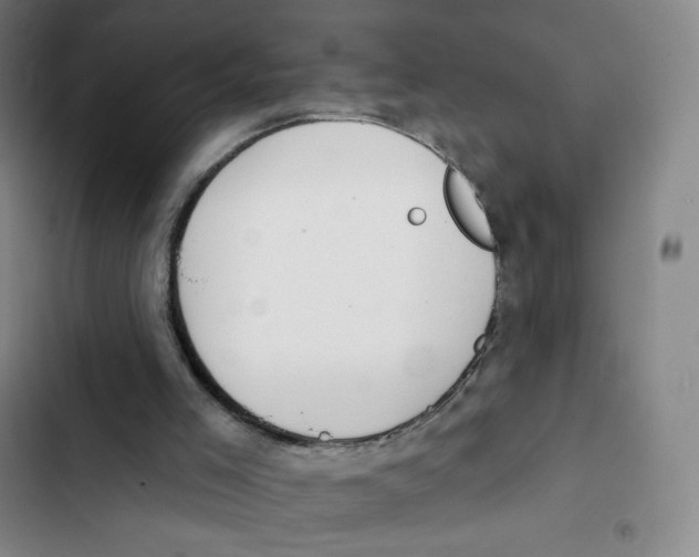 X0000102850005200809151138