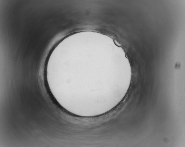 X0000102850006200809151138