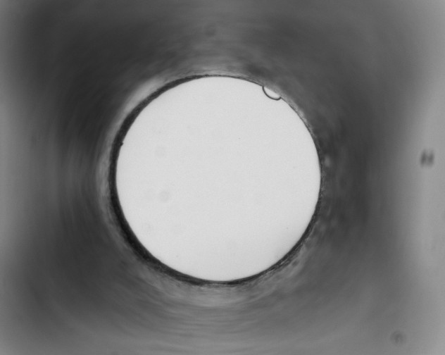 X0000102850008200809151138