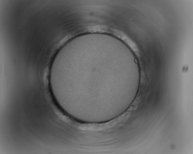 X0000102850009200809151138