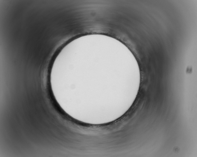 X0000102850012200809151138