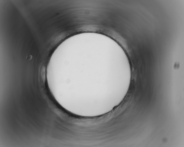 X0000102850013200809151138