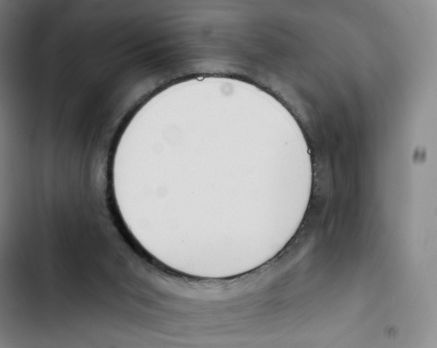 X0000102850015200809151138