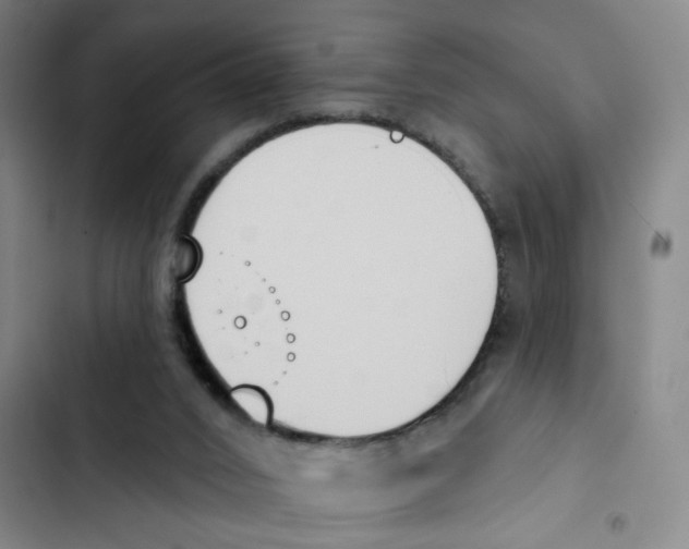 X0000102850016200809151138