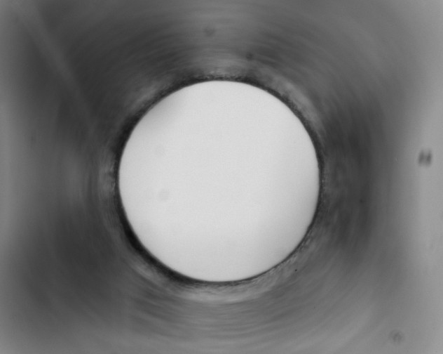 X0000102850017200809151138