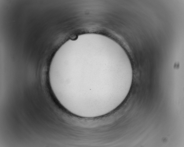 X0000102850018200809151138