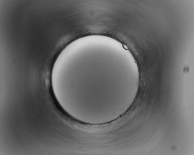 X0000102850019200809151138