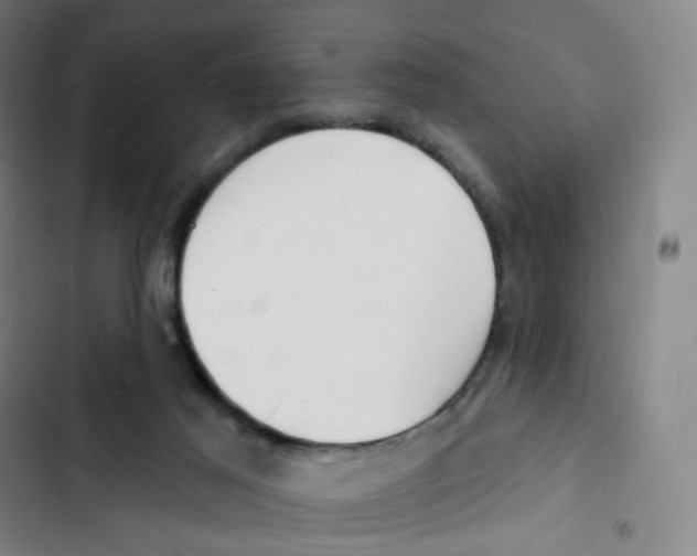 X0000102850021200809151138