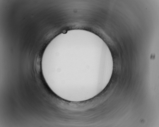 X0000102850022200809151138